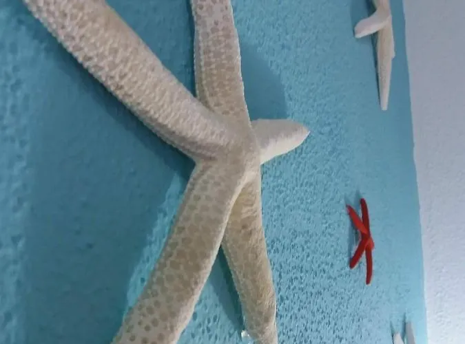 Gli Alisei Bed and breakfast Siniscola